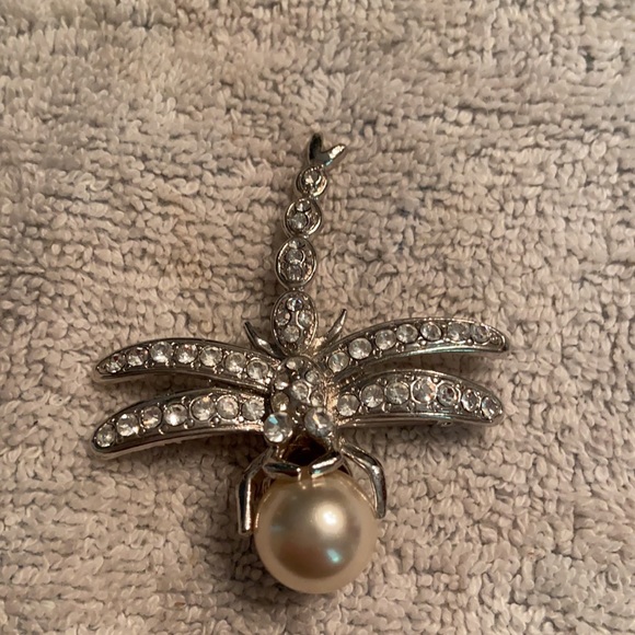 Bug/Insect Pin Lot - Picture 4 of 5